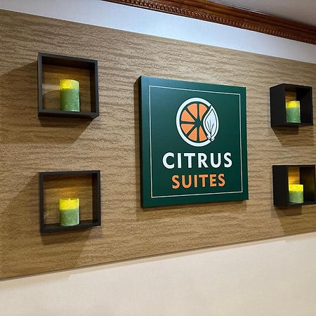 Citrus Suites Redlands Loma Linda Hotel Exteriér fotografie